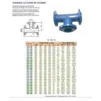 UT TES F.D. B-B-B 60X60