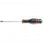 DESTORNILLADOR TORX ATXR20X100