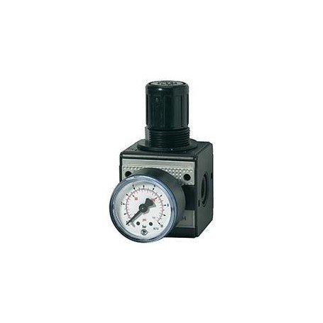 REGULADOR PRESIÓN MULTIFI X CON MANÓMETRO BG1 0,5-1 0BAR G1/4" RIEGLER