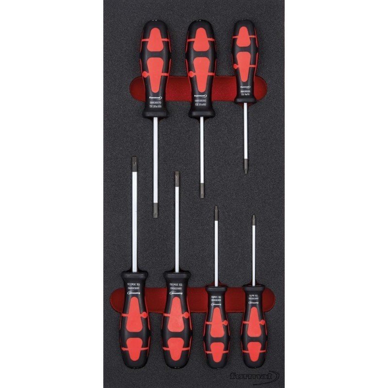 MÓDULO HTA 1/3 DESTORNILL ADOR TORX FORMAT