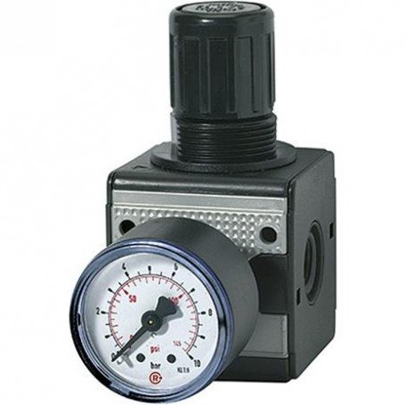 REGULADOR PRESIÓN MULTIFI X CON MANÓMETRO BG1 0,5-1 0BAR G1/4" RIEGLER
