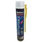 ESPUMA PORYECTABLE CANULA 700ML BLANCO